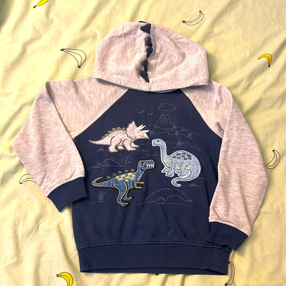 Dino hoodie size 7